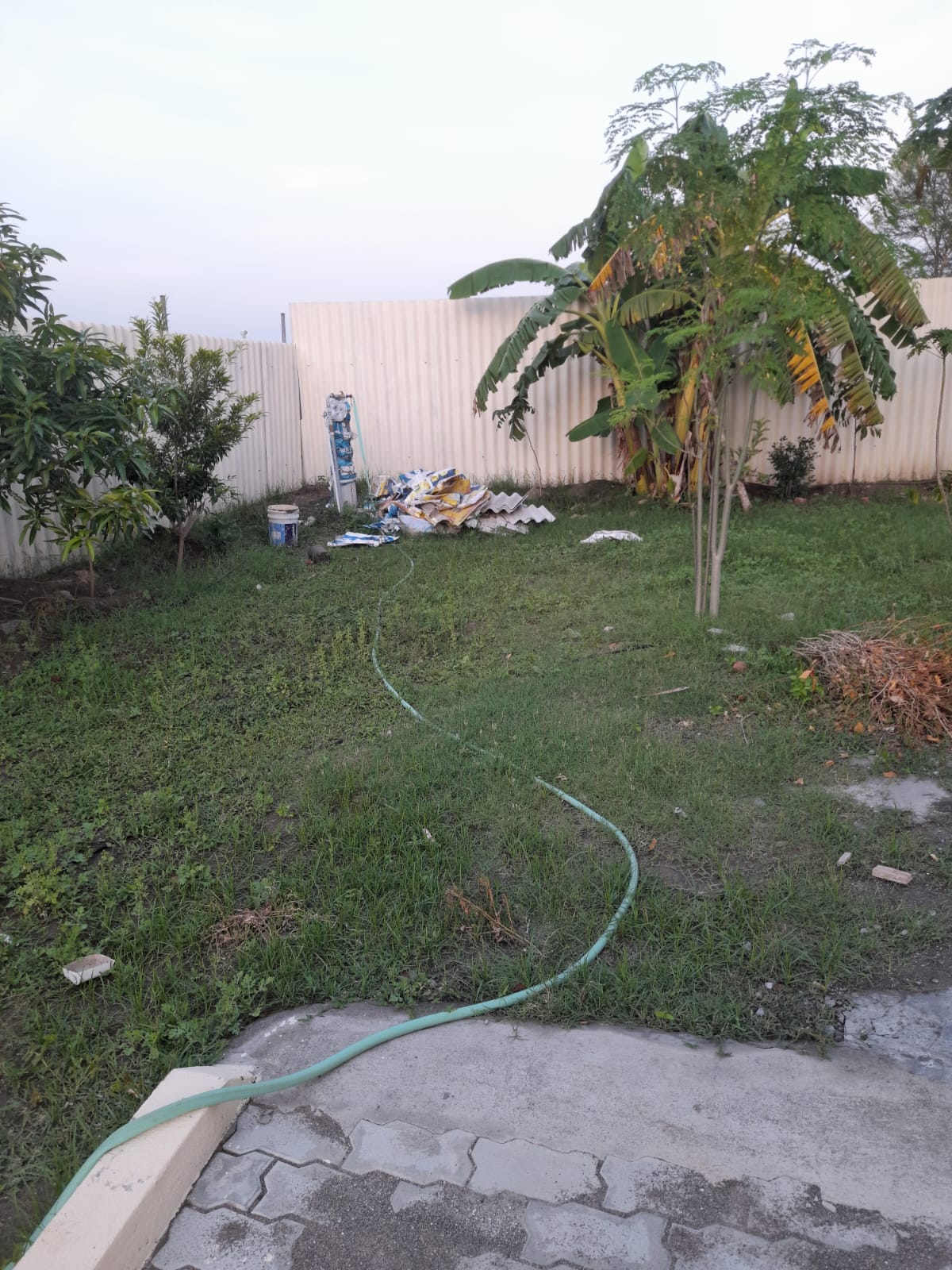 WhatsApp Image 2024-08-19 at 2.15.14 PM (1)